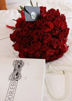 Robe Nuisette Rouge CIENA -Doress IMG 3325